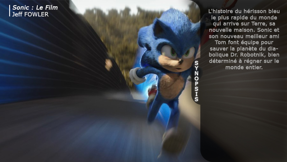 Sonic le film